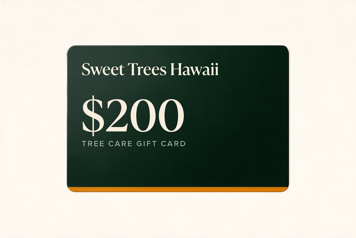 giftcards/gift-card-flat.jpg