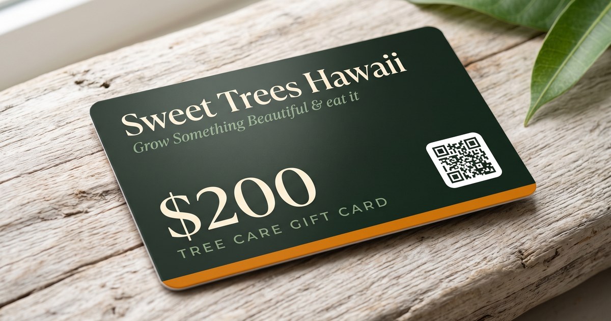 og/gift-card-og.jpg