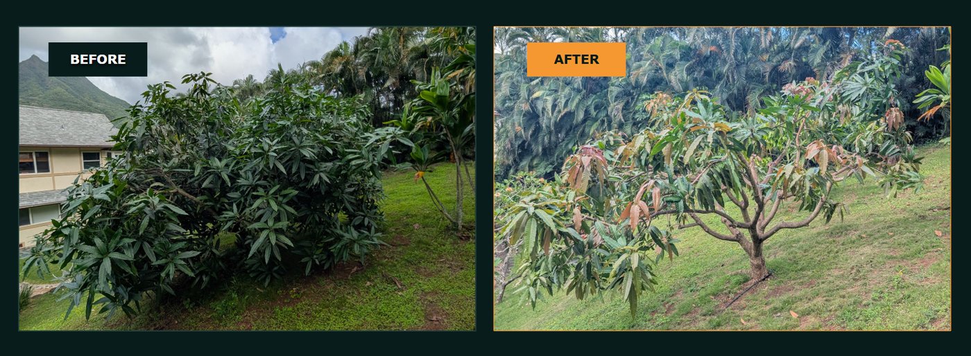 work/before-after/kailua-before-after.jpg